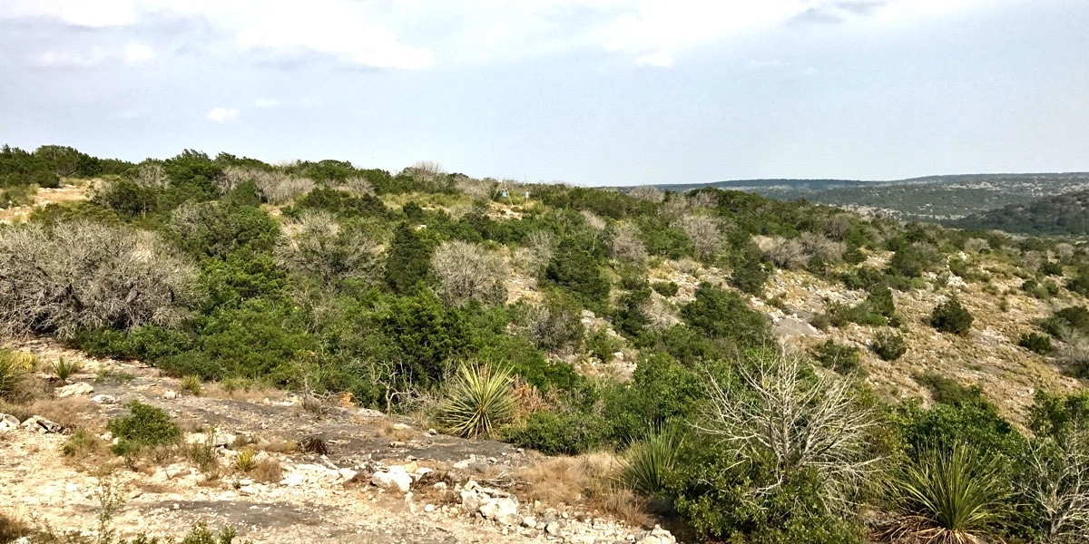 Welcome to Sisco D Ranch